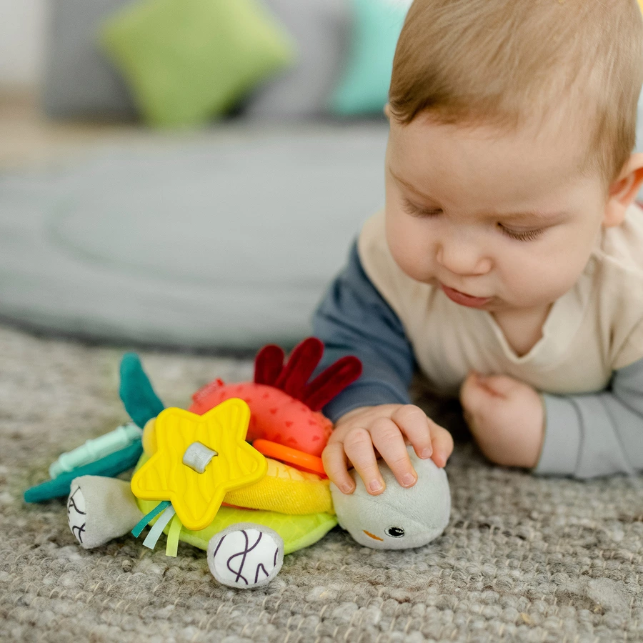 fehn® Activity-Schildkröte