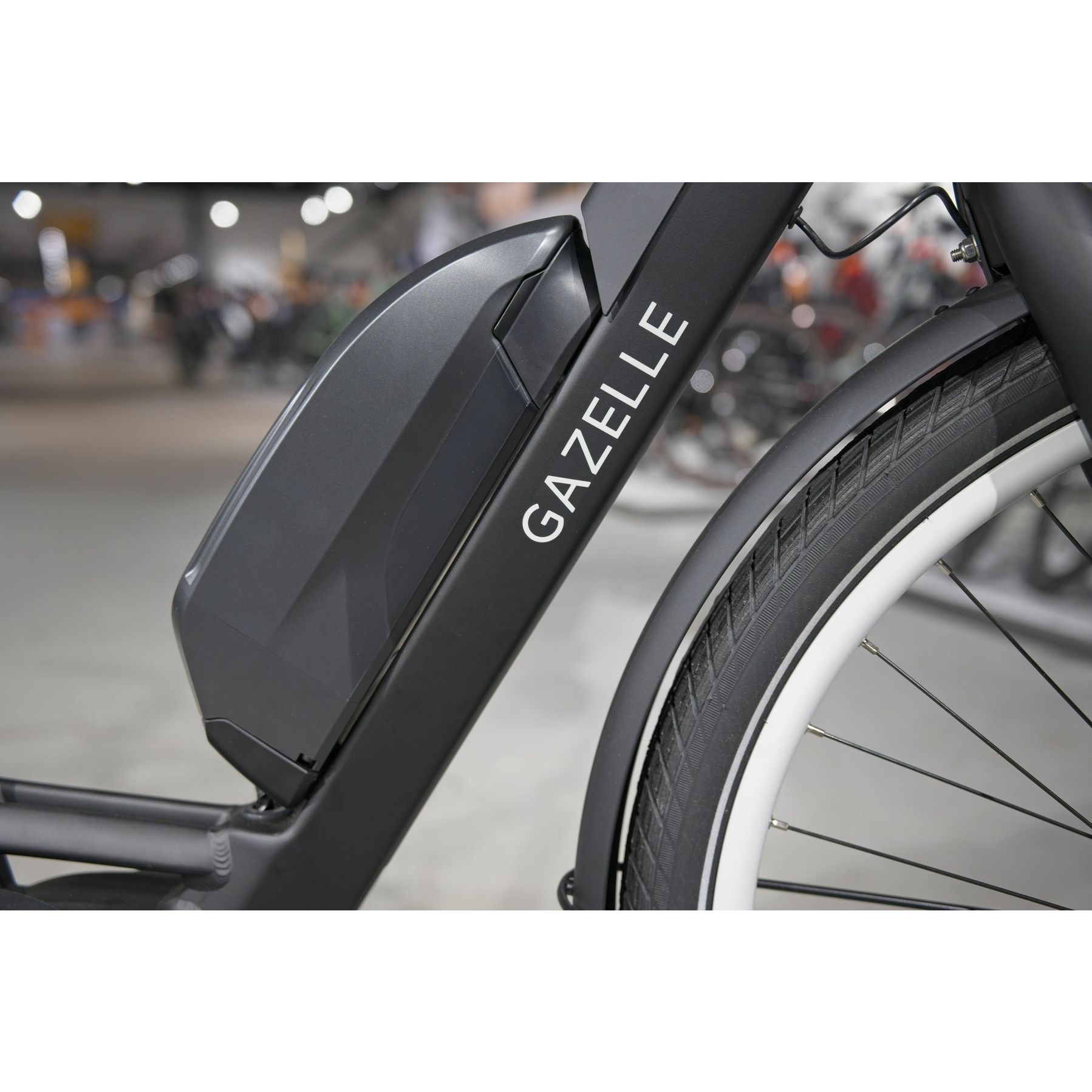 Gazelle Bloom C310 HMS 2026