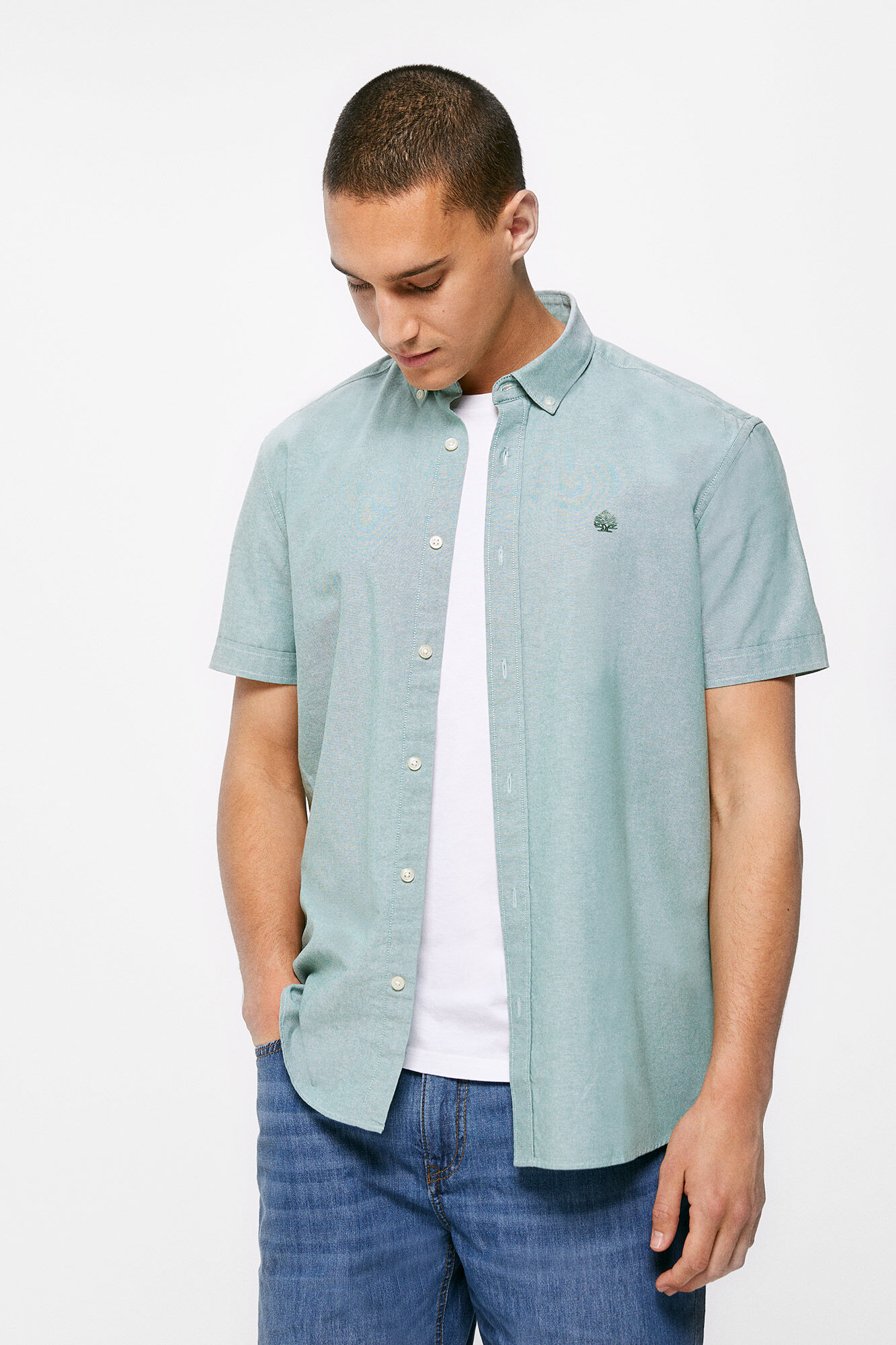 Camisa Pinpoint - verde