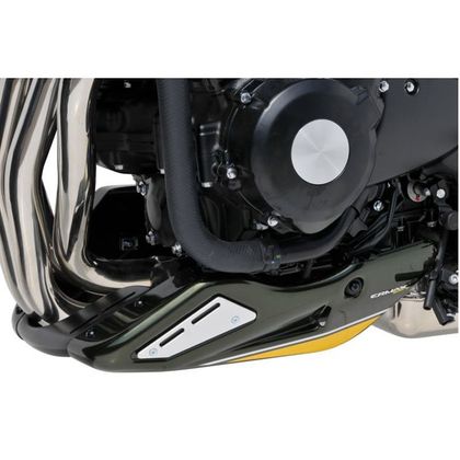 Sabot moteur Ermax KAWASAKI Z900 RS - Noir / Gris