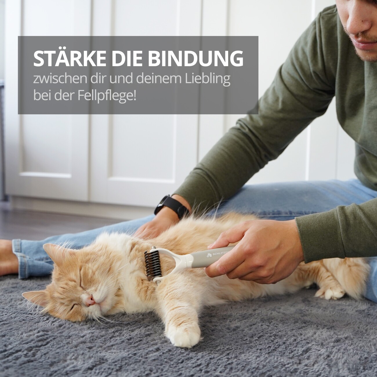 Schlitzohr Unterfellbürste Cookie