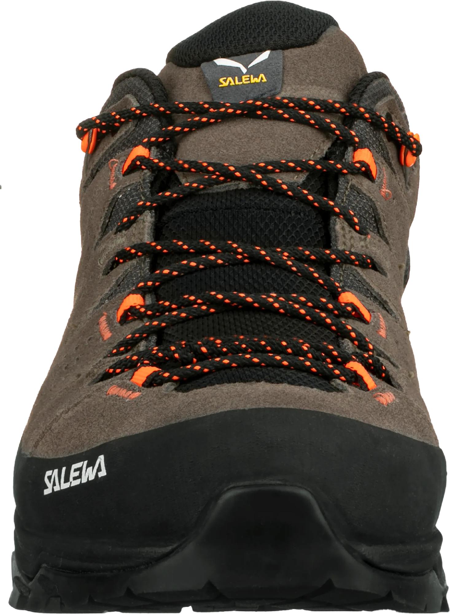 Salewa Alp Trainer 2 GTX M