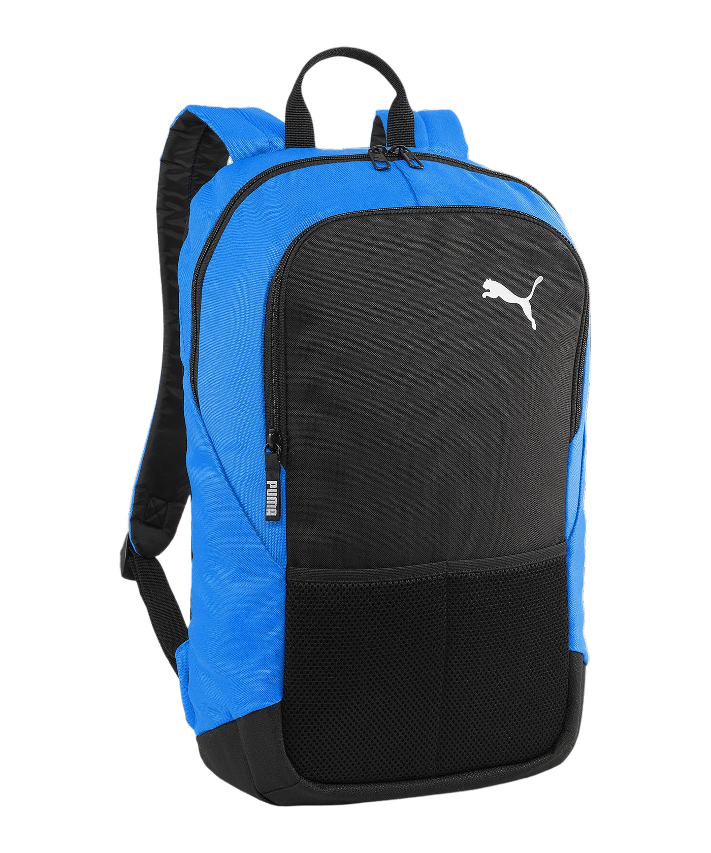 PUMA teamGoal Rucksack Blau F02