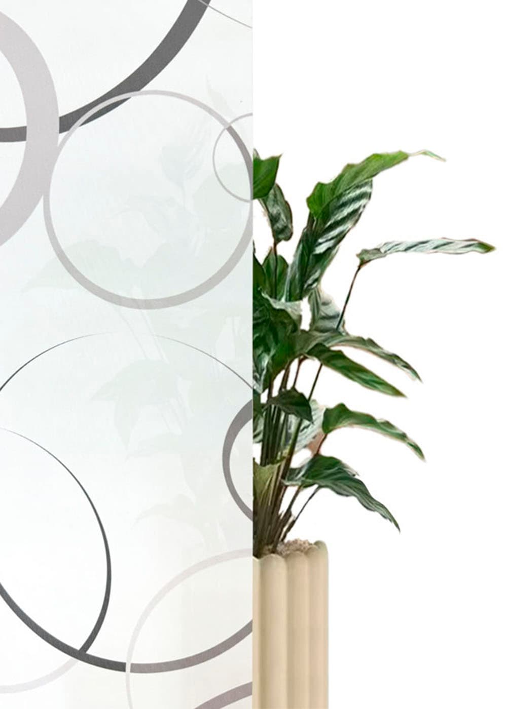 Bruno Banani Seitenzugrollo »MAZE« Lichtschutz Blendschutz | Sichtschutz ohne Bohren freihängend mit modernen Kreiselementen NEUHEIT!