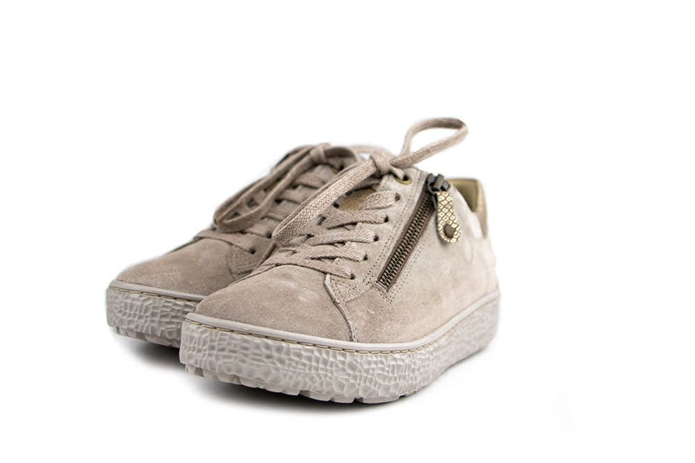 Hartjes Sneaker Phil Birke Gold