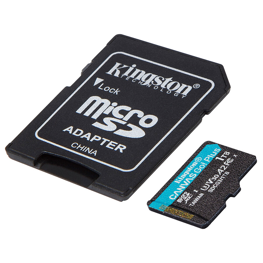 Kingston Canvas Go! Plus SDCG3/ 1TB
