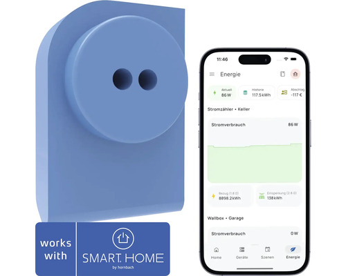 everHome EcoTracker - Compatibel met SMART HOME van hornbach