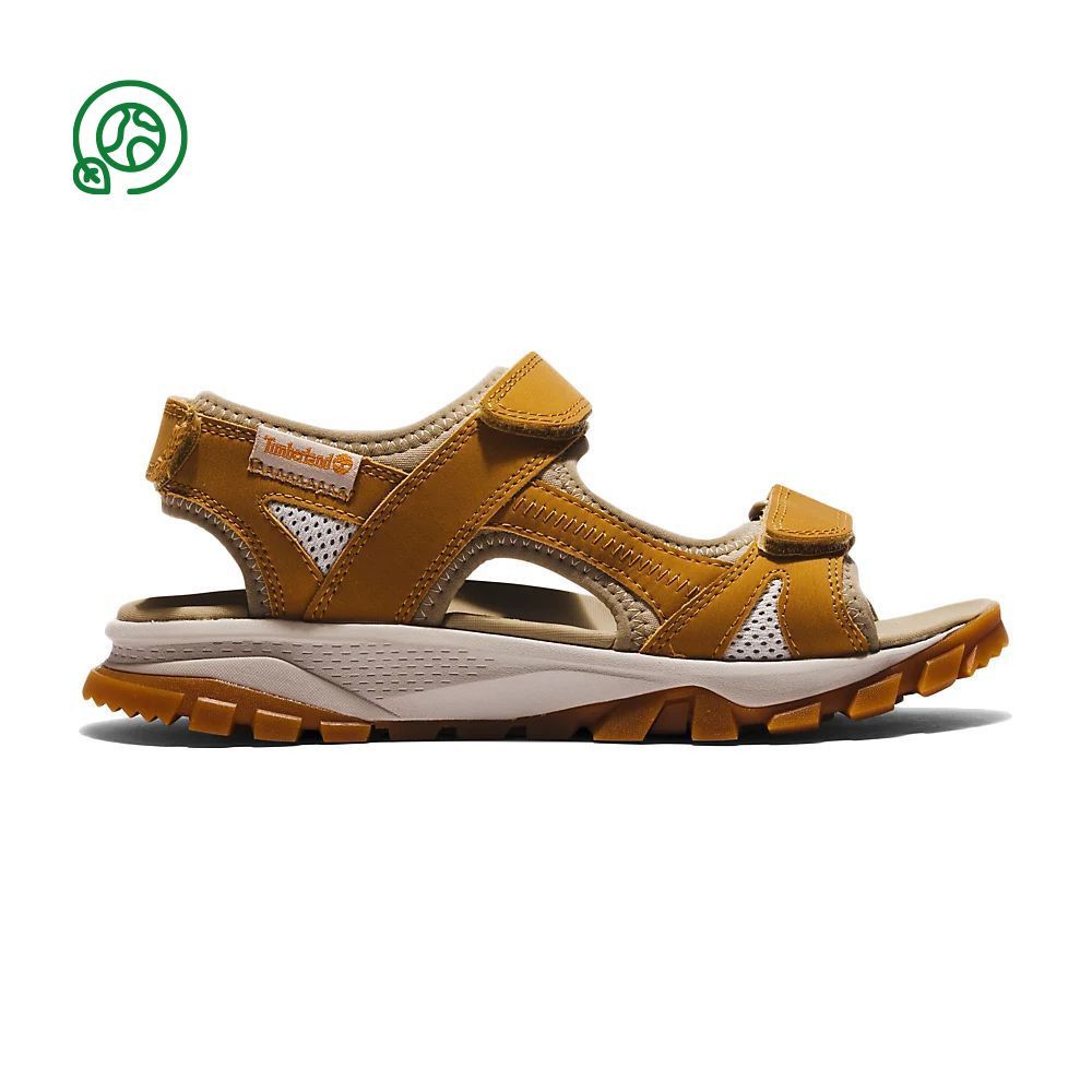 Timberland LINCOLN PEAK - Sandales Femme wheat leather