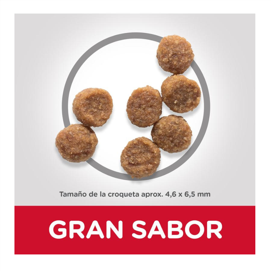 Hill's Science Plan Puppy Small & Mini Lamb and Rice para Cães