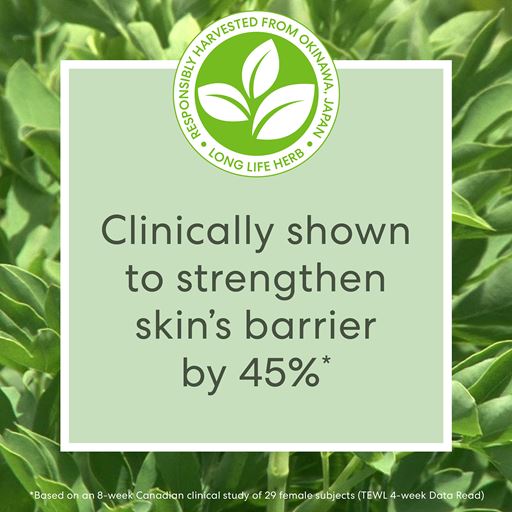 bareMinerals Skinlongevity Herb Serum, 50 ml
