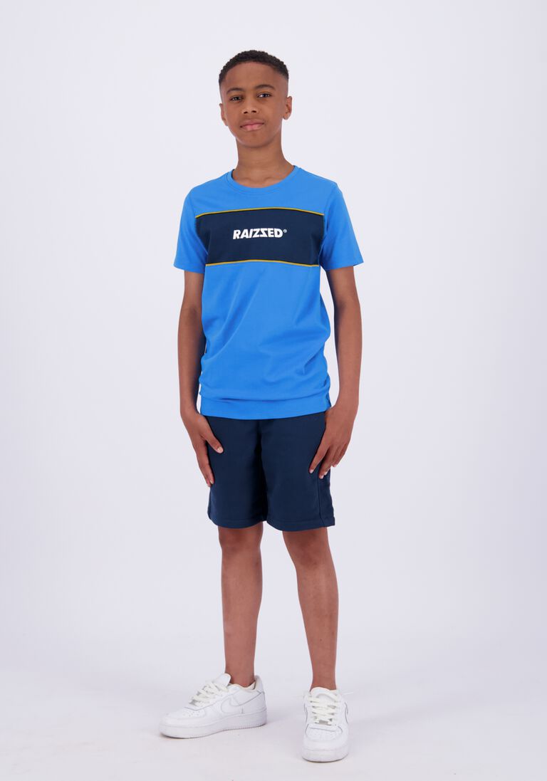 RAIZZED blauwe raizzed t-shirt scottville