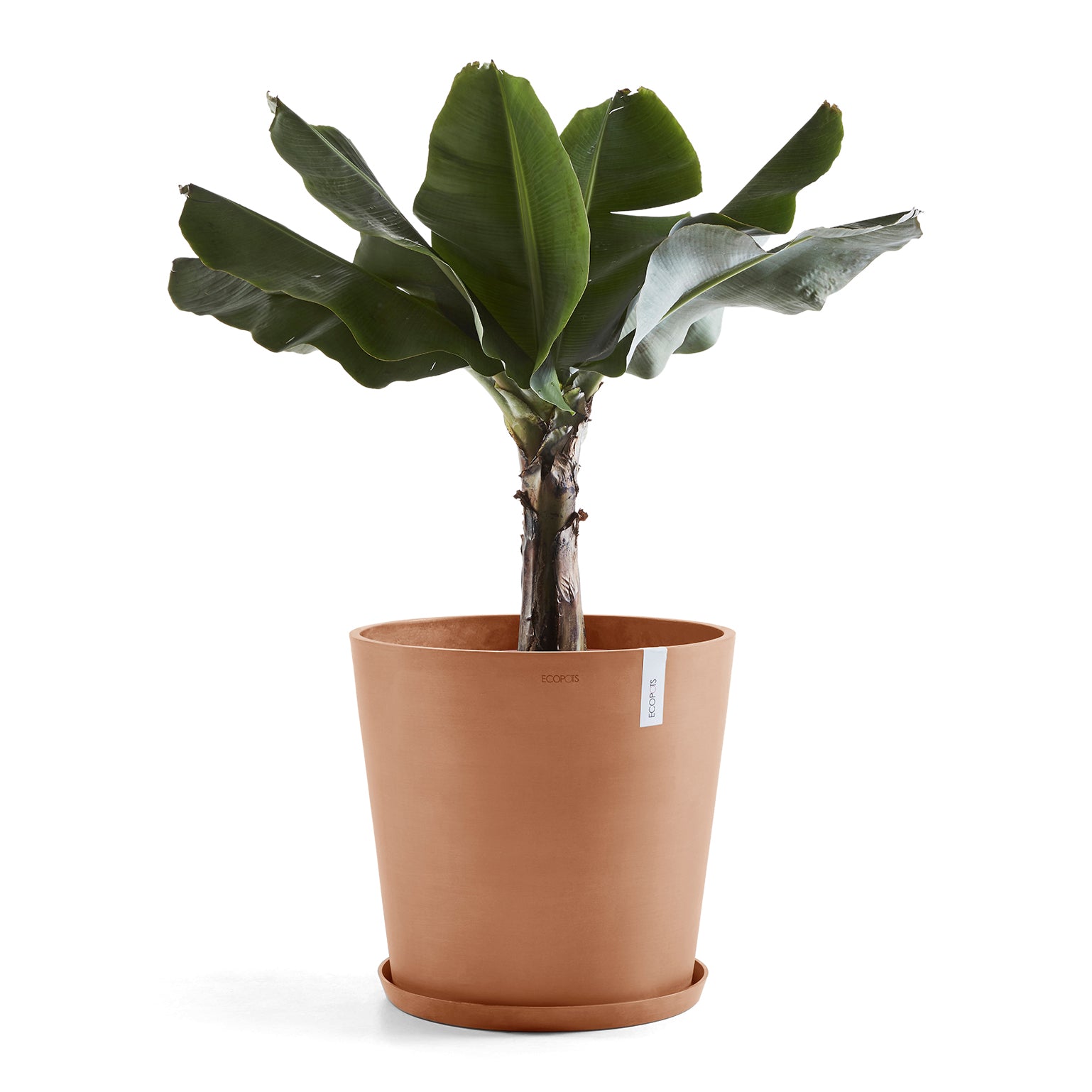 Ecopots Amsterdam 50