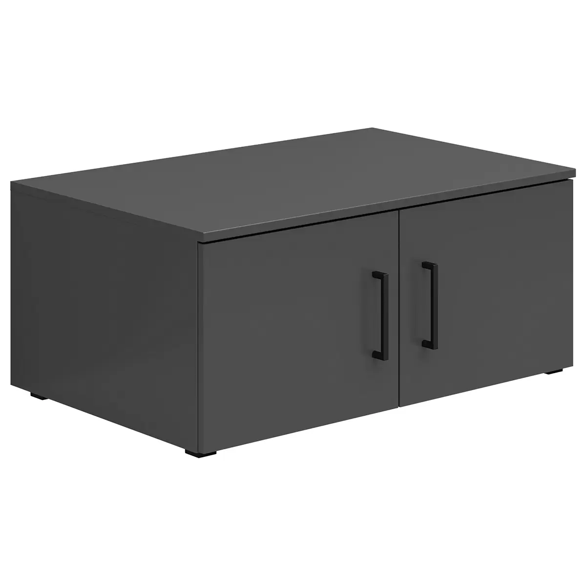 Regal 2T Cabinet Anthrazit