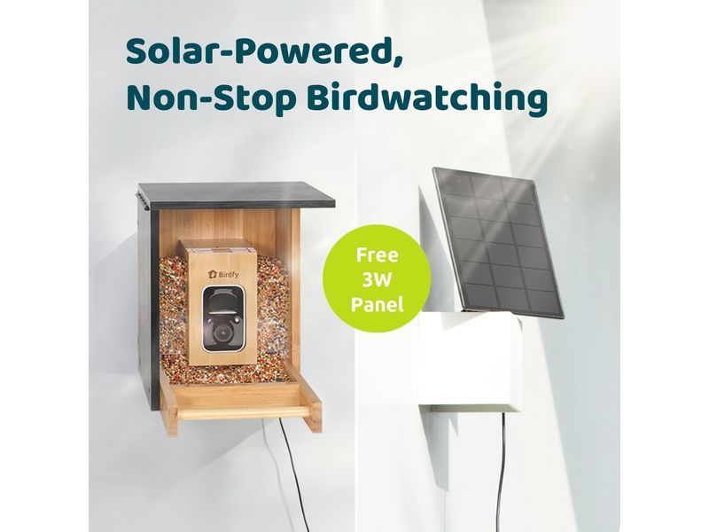 Birdfy Futterspender FSC Bambus Mini Solar Vogelfutterspender mit Kamera und Lifetime AI