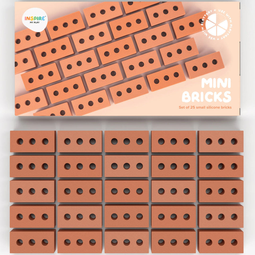 Inspire my play mini bricks
