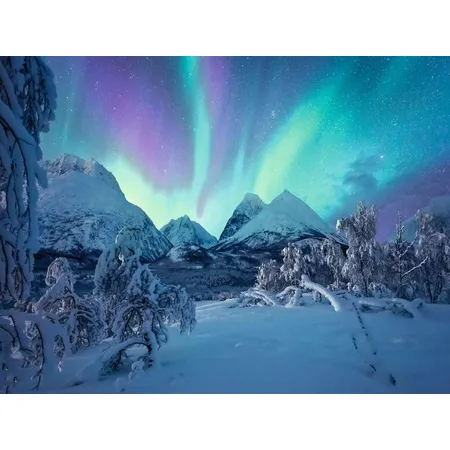 Ravensburger Puzzle - Wenn die Nordlichter tanzen, 1500 Teile