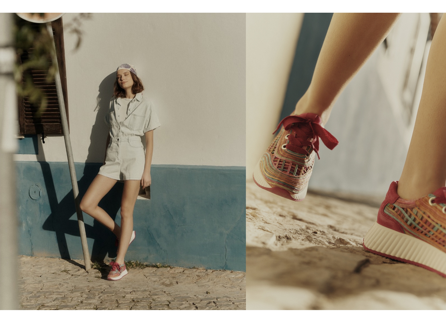 Ardi fuchsia