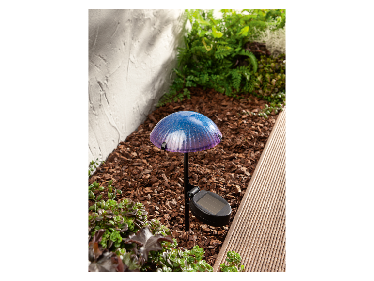 Solar LED-paddenstoel
