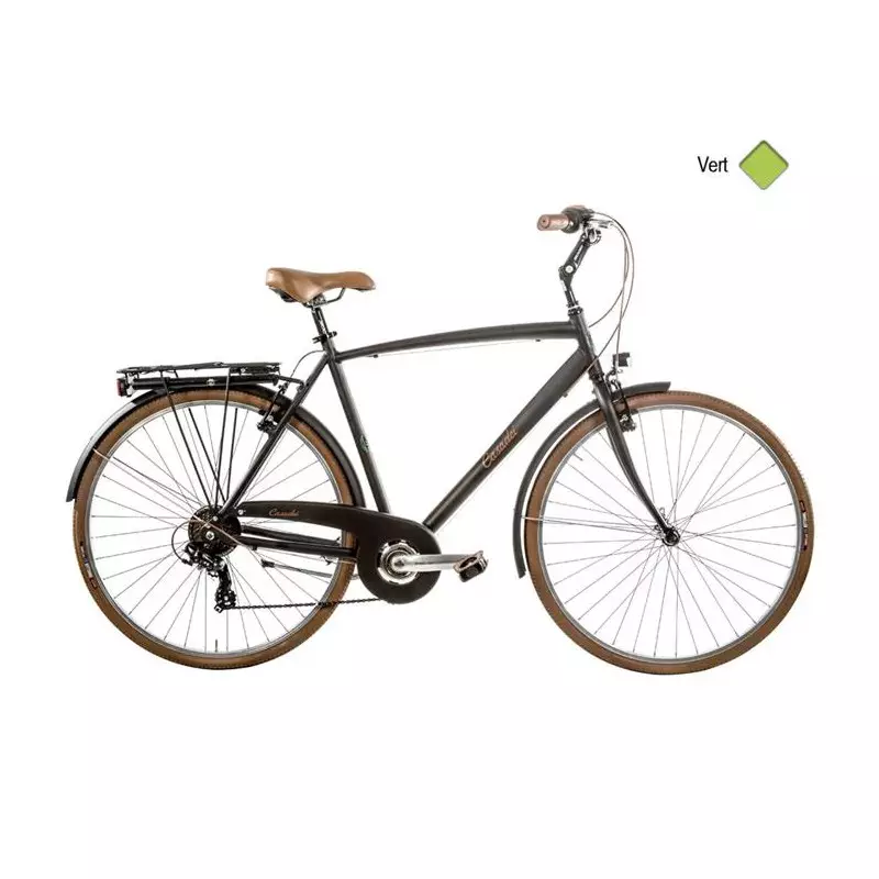 Vélo CASADEI vintage 28 homme 6v alu h52 Vert