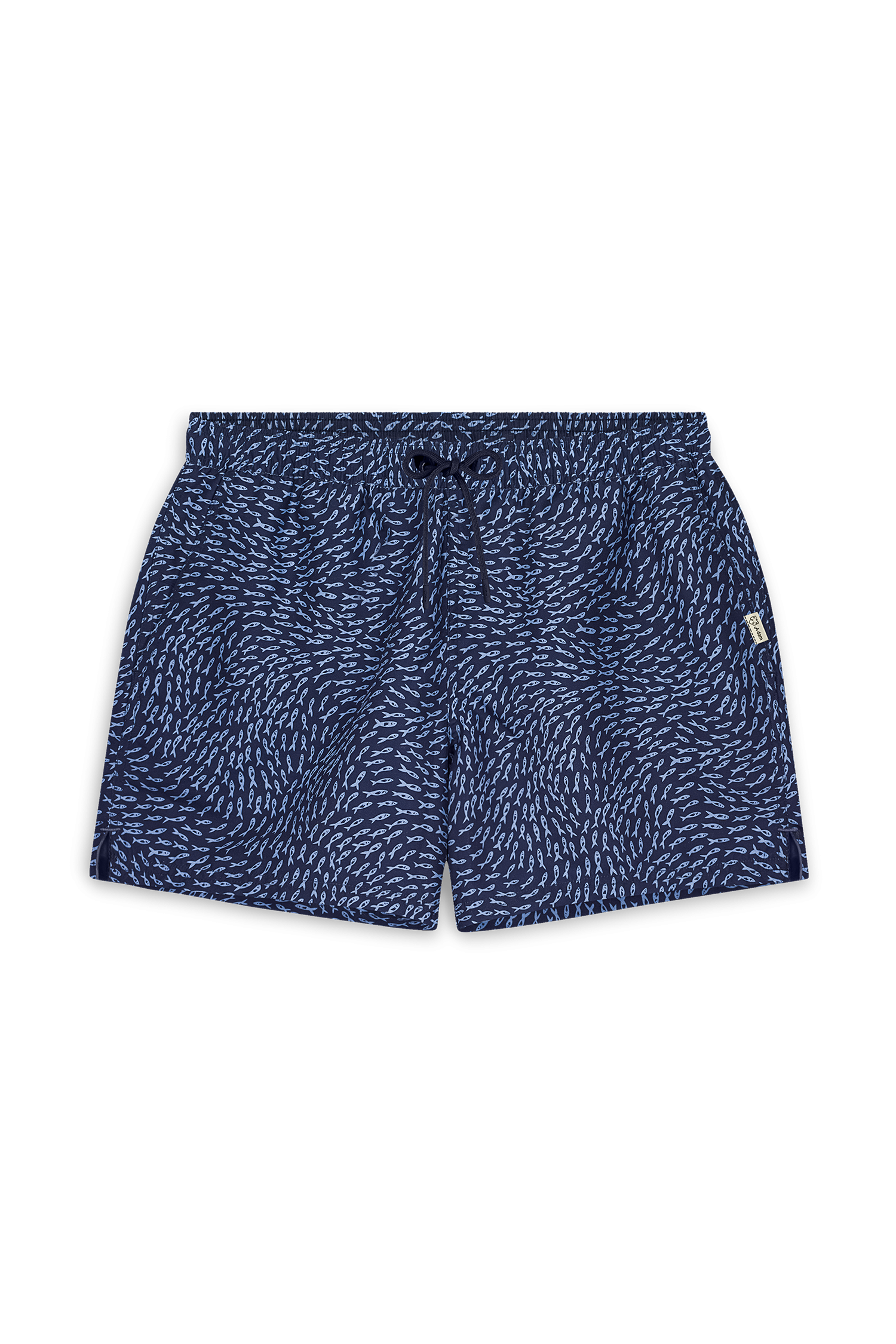 Blue School of Fish
