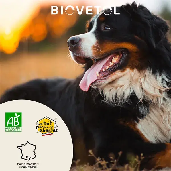 Biovetol - Comprimés Bien-être Intestinal Moyen / Grand chien Bio - x15