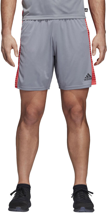 adidas Tango Graphic Shorts Grå
