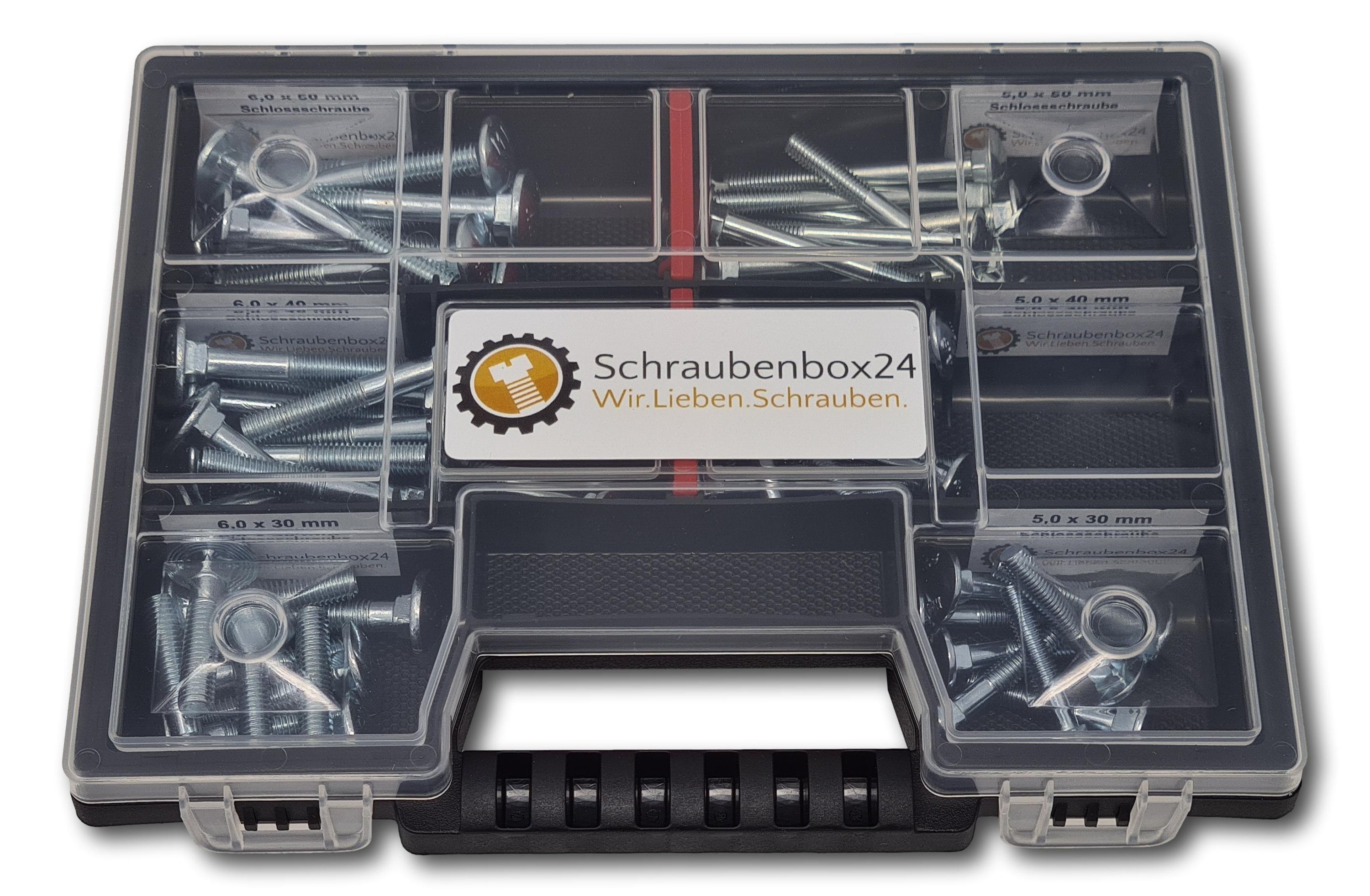Flachkopfschrauben Sortiment M5-M6 // 30mm-50mm 60 tlg. Schraubenbox DIN 603 Bolzen Vollgewindeschrauben Maschinenschrauben Gewindeschrauben Flachkopfschrauben