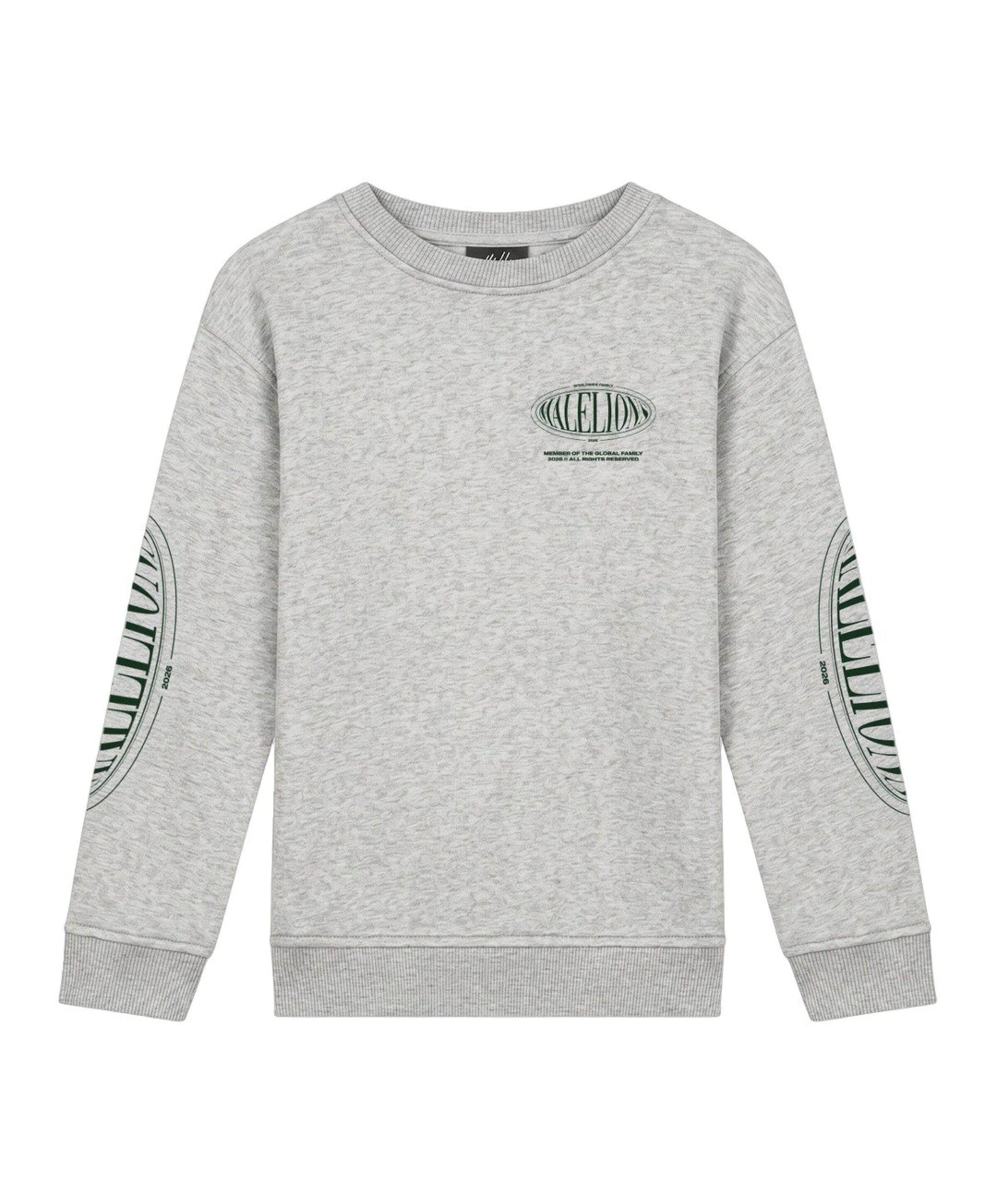 Malelions Jongens sweater grijs