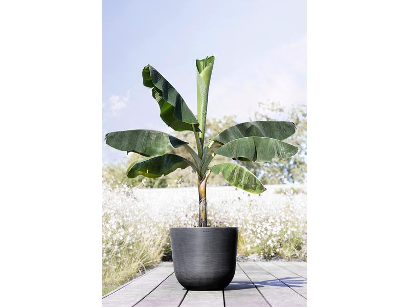 Ecopots Pflanzentopf Oslo 45 Dunkelgrau Blumentopf