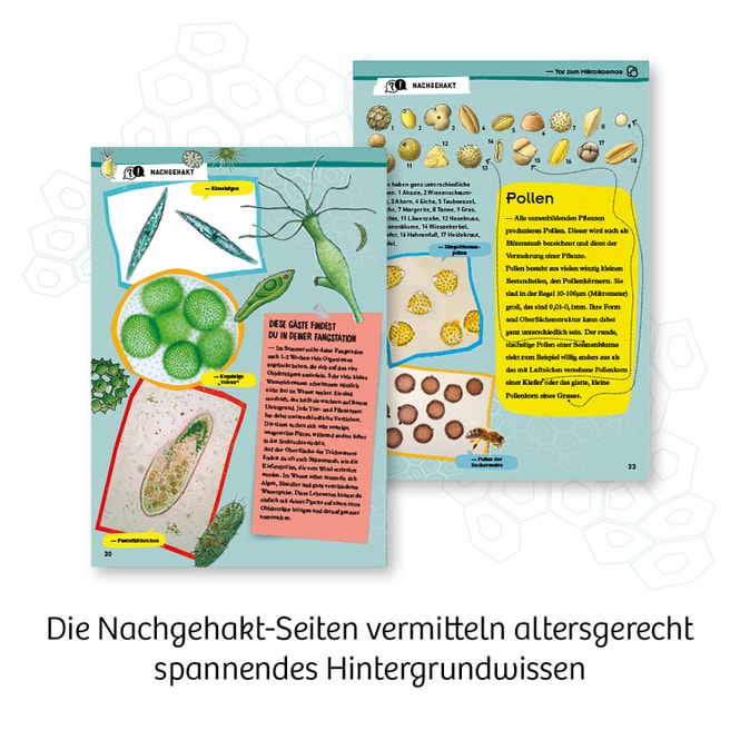 Entdecker-Mikroskop - Experimentierkasten