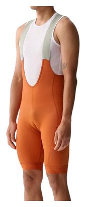 Cuissard Maap Homme Training 3.0 Marron