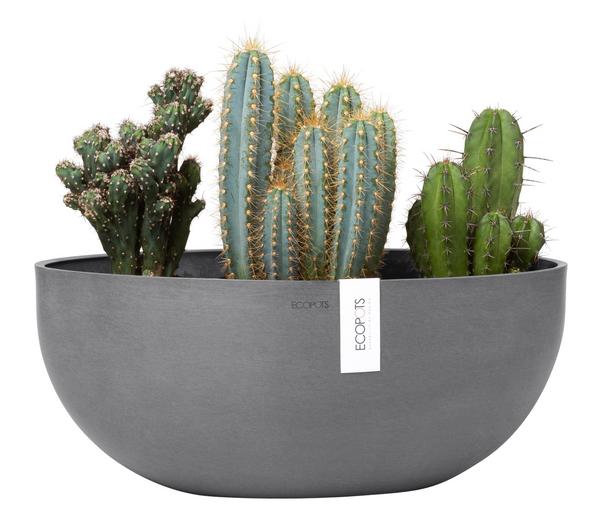 Ecopots Kunststoff-Schale Sofia mit