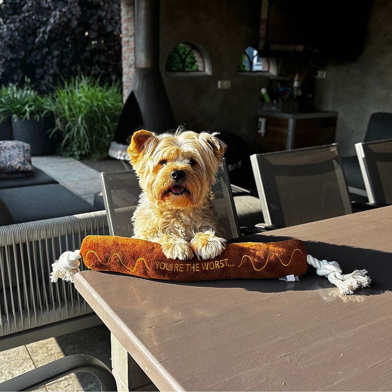 Beeztees BBQ Worst Met Touw Pluche Hond | 15783
