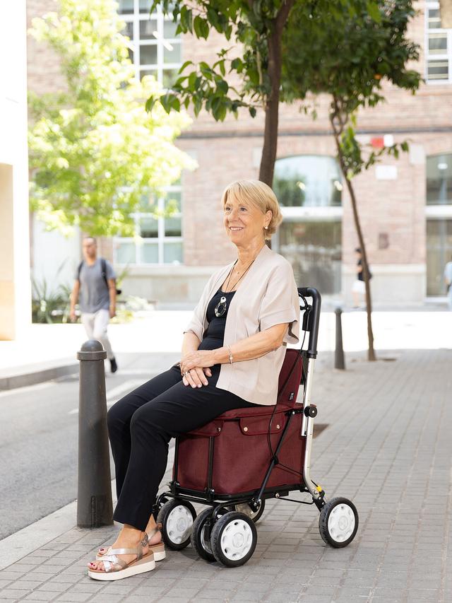 Flex Shopping Rollator 