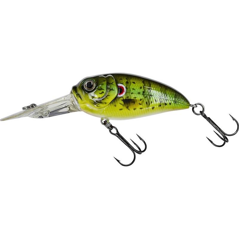 Leurre Flottant Molix Sculpo Dr Rattlin - 5.5Cm