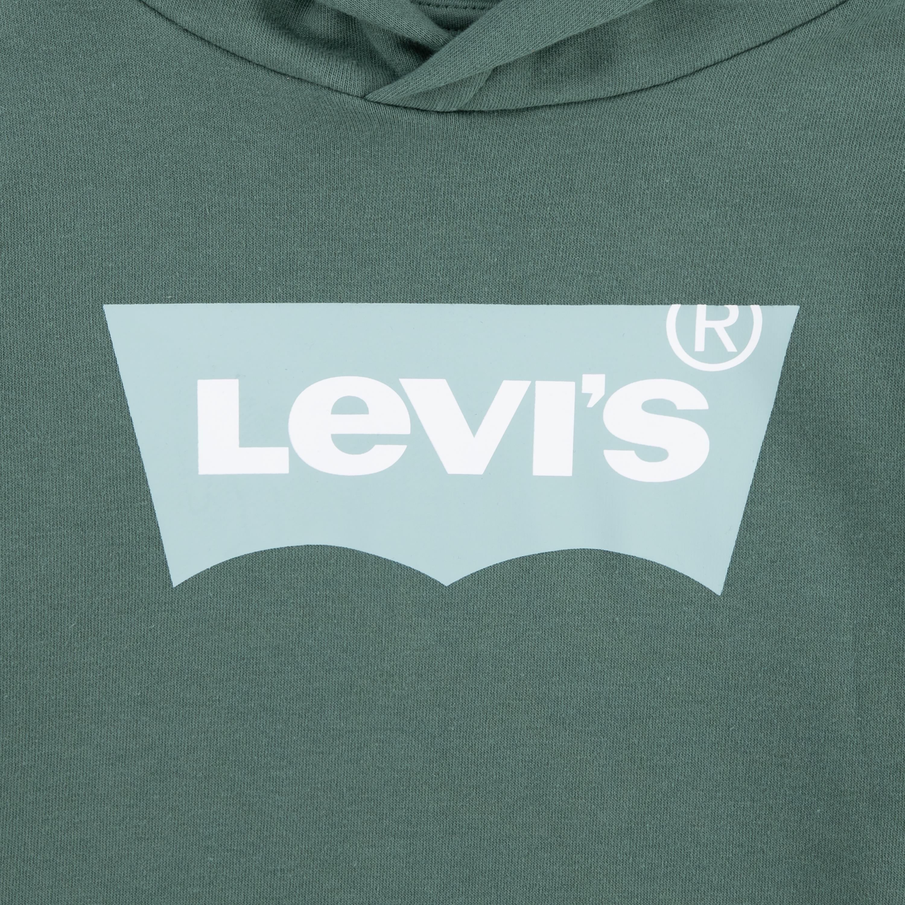Levis Logo Hoody Juniors