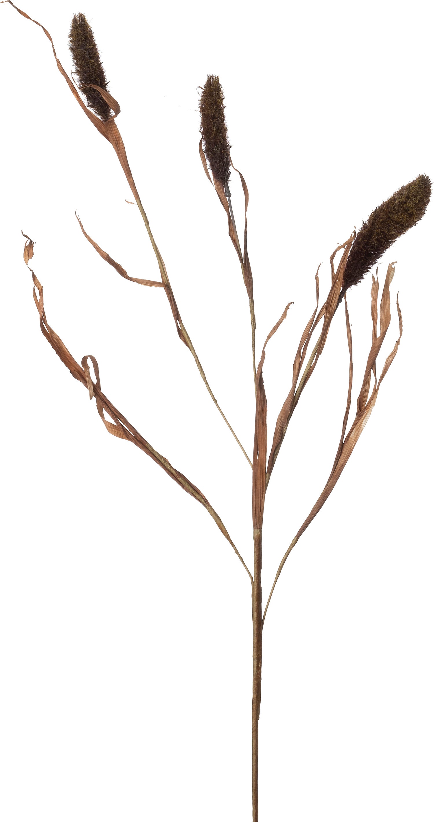 Intratuin kunsttak Lampenpoetersersgras bruin 94 cm
