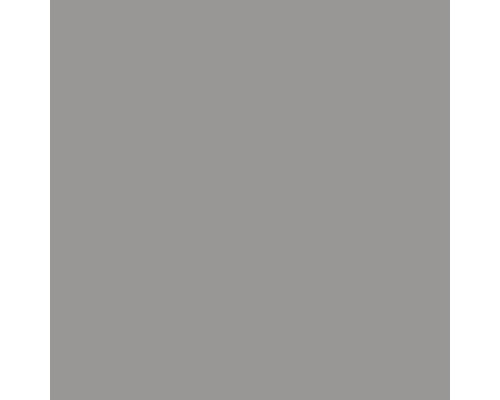 BONDEX Houtverf - Permanente Beschermende Verf Platinum 2,5 L