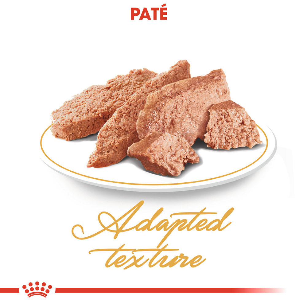 Royal Canin Persian Adult Wet - Kattenvoer