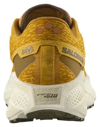 Chaussures Running Salomon Aero Glide 3 GRVL Jaune Homme