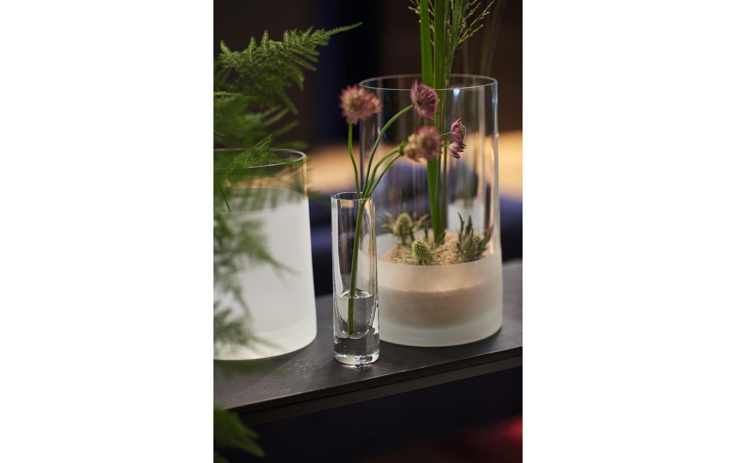 Vase Novara 26 cm 2 Stück, TransparentVase aus Glas, Transparent/Weiss