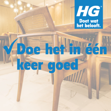 HGX tegen houtworm 500 ml