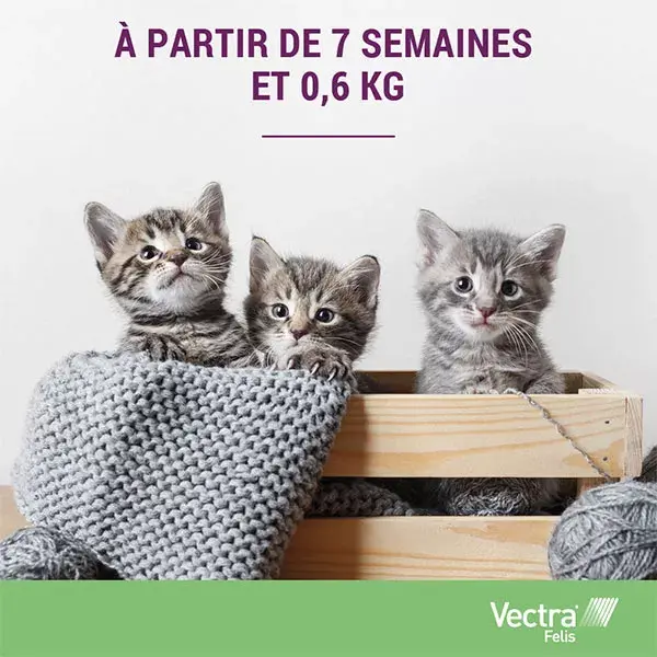 Vectra® Felis solução spot-on para gatos, 3 pipetas