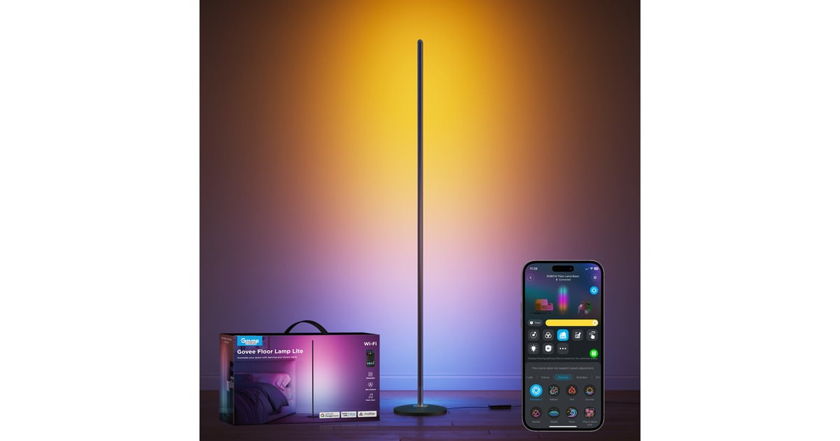 GoveeFloor Lamp lite  (Zwart)