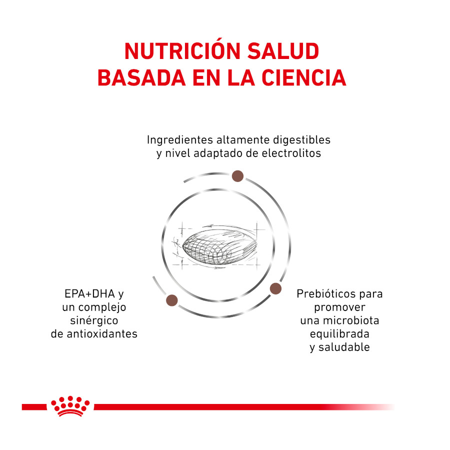 Ração Royal Canin Veterinary Gastrointestinal Hairball para gatos