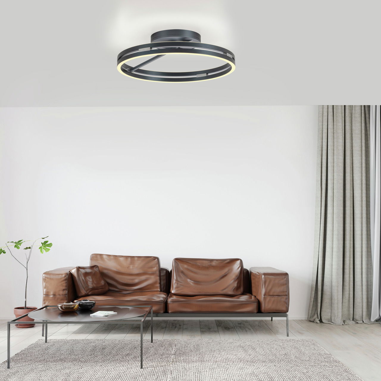 Paul Neuhaus Deckenleuchte PURE LOOP