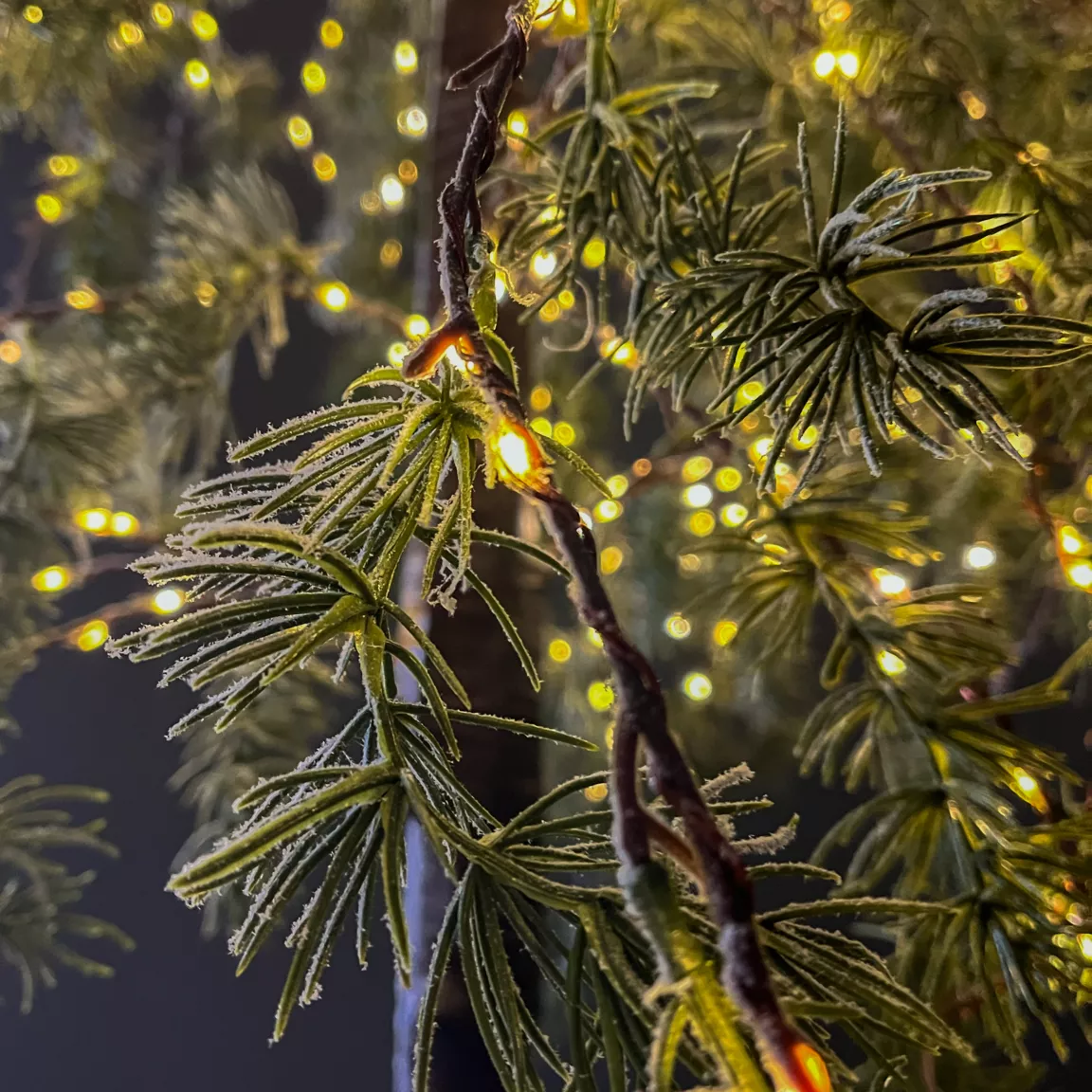Arbre lumineux 600 LED (H180 cm) Bouleau enneigé Blanc chaud