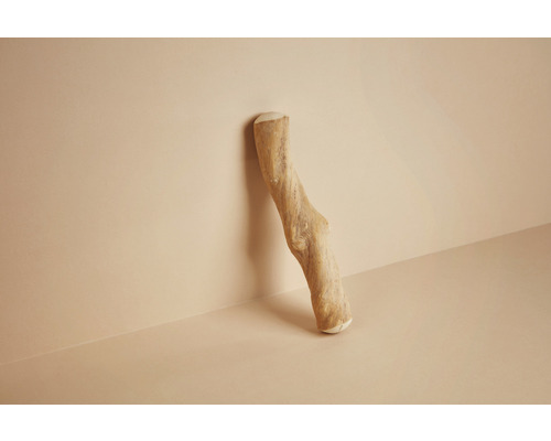 CANOPHERA hondenspeelgoed, kauwstaaf van koffiehout, maat M (ca. 22-26 cm), voor honden tot 20 kg, bruin, stressverlichtend, gebitsverzorging, verrijking