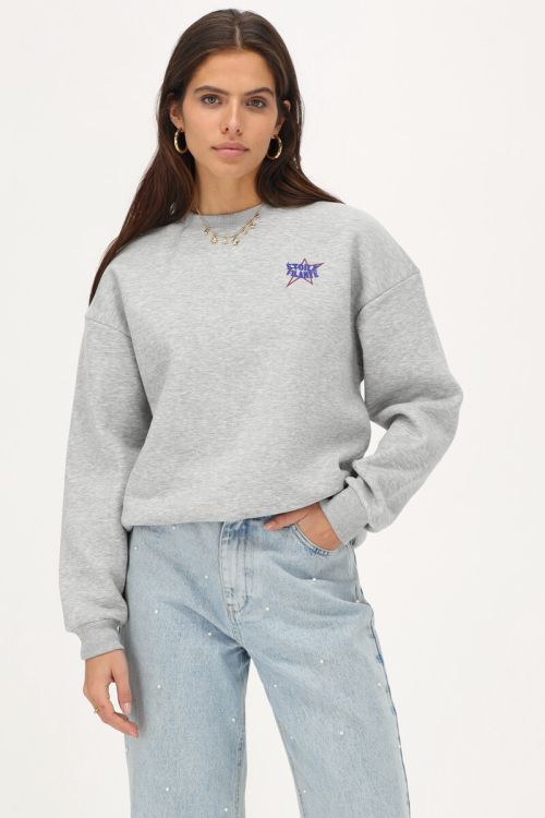 Grijze sweater 