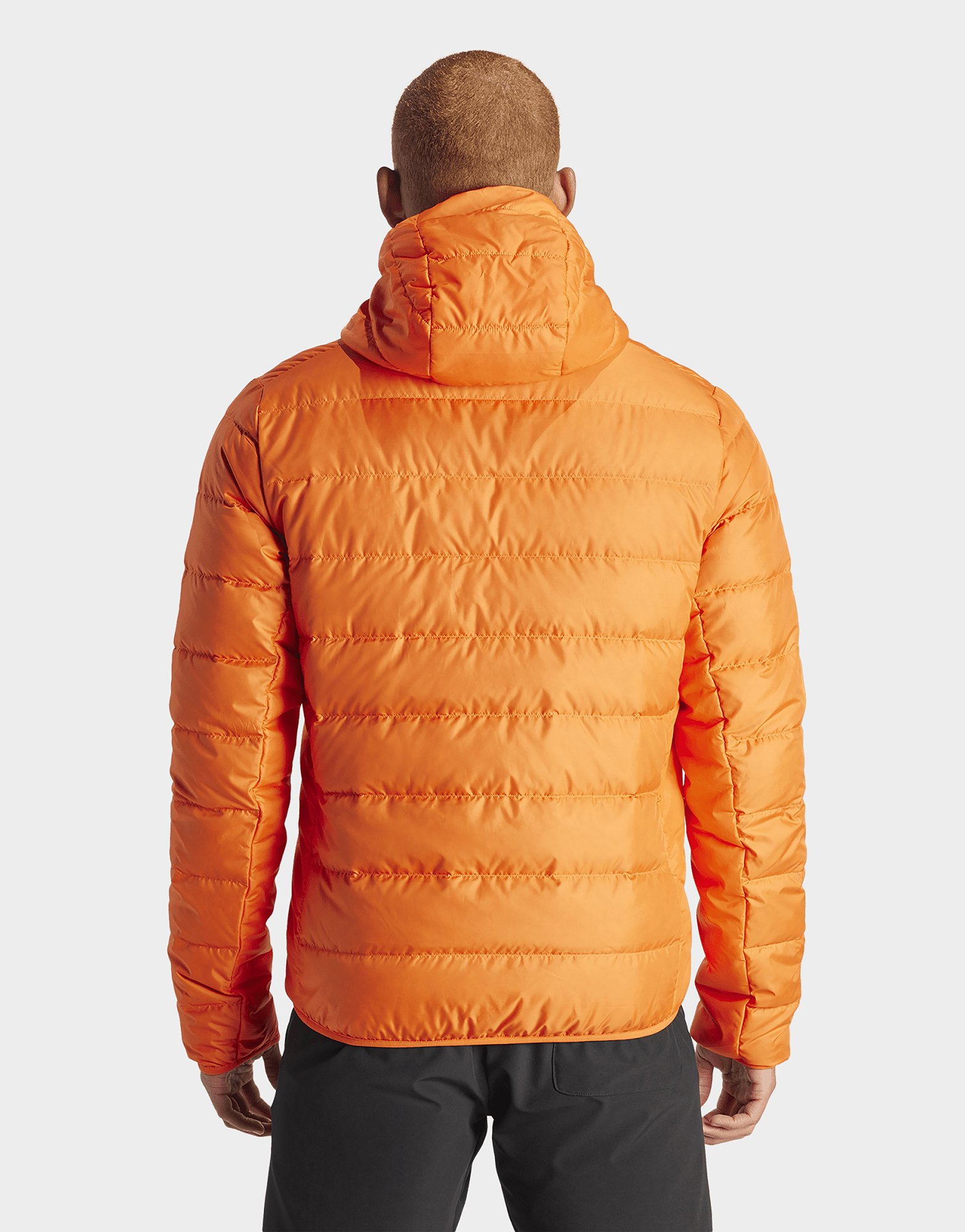 adidas Doudoune à capuche légère Terrex Multi